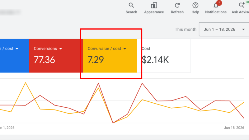 Google Ads overview with a 7.29 conversion value per cost highlighted